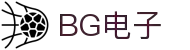 BG电子(中国大陆)官方网站